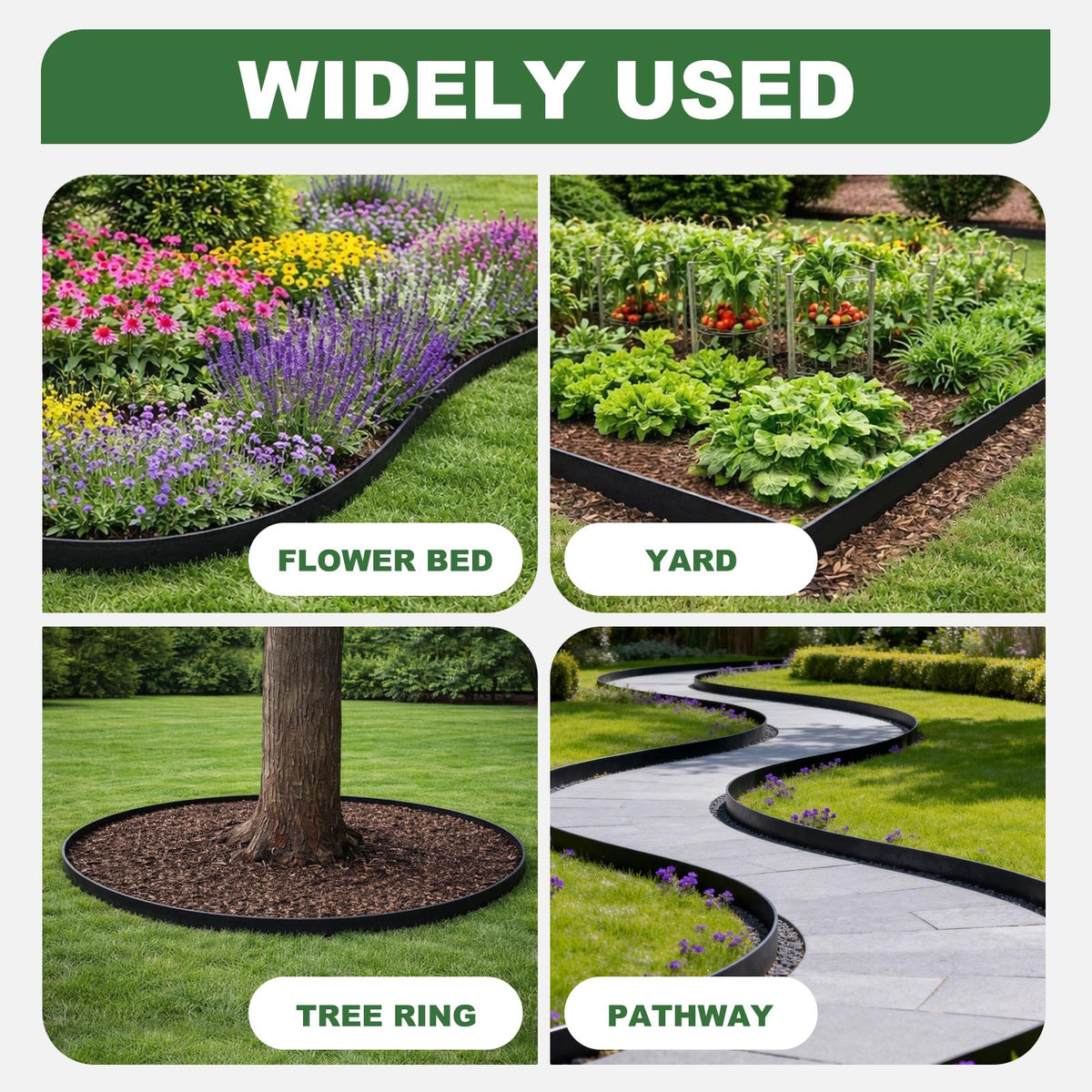 SJPULMO tree ring border setup around a planting circle