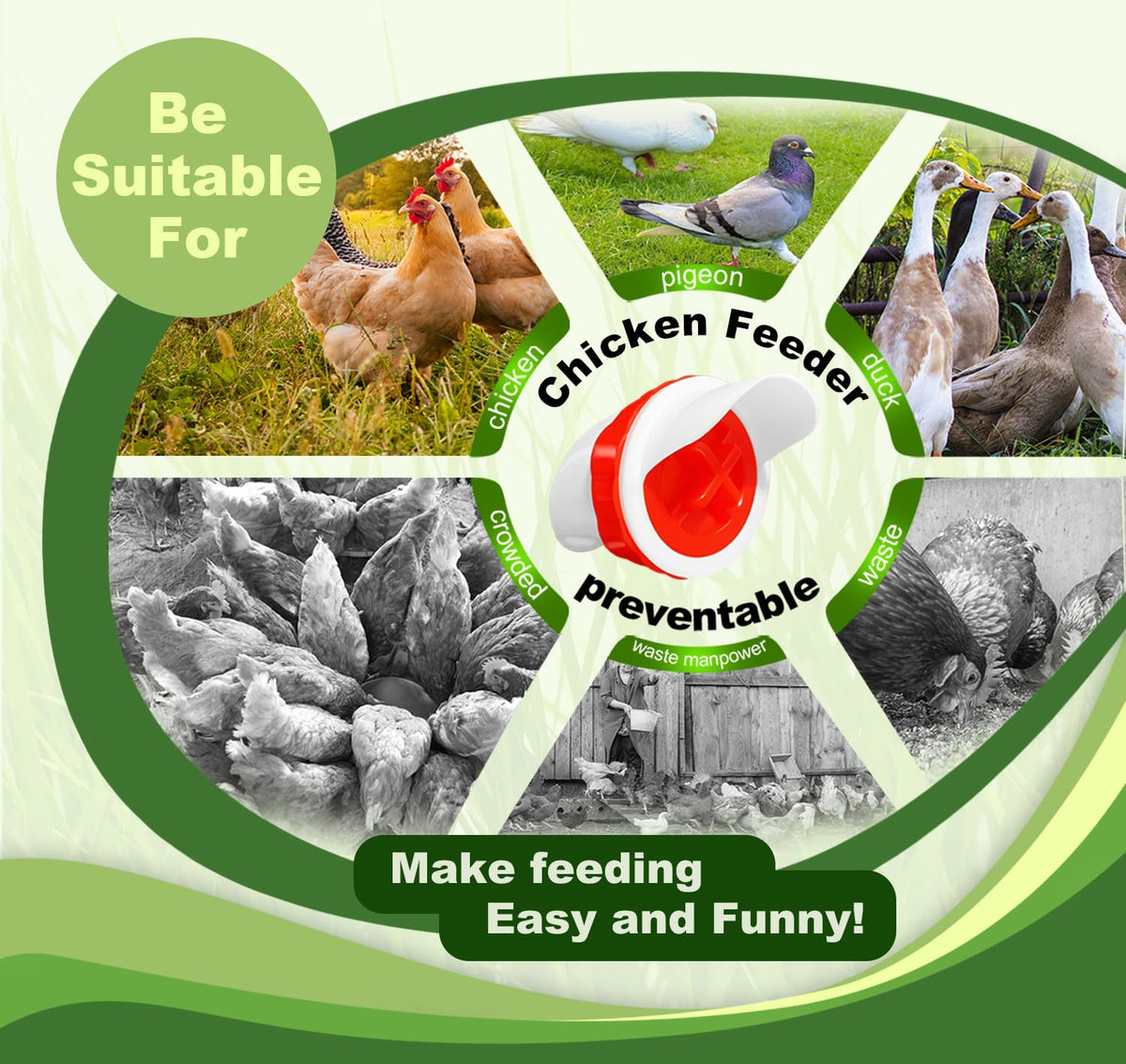 SJZNEWWOSM space-saving design suits any coop or feeding area.