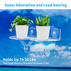 SKEWO 2-pack acrylic planter shelves for indoor plants on a sunny sill