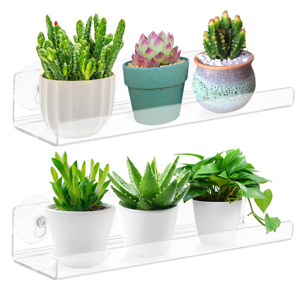 SkeWo 2 Pack 12-Inch acrylic window boxes highlight sunlight for succulents.