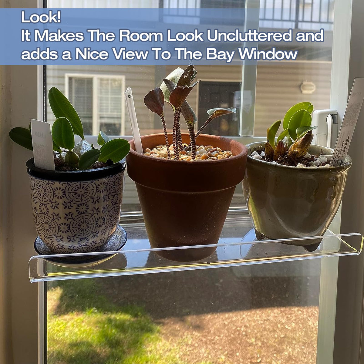 SkeWo gift-worthy window shelves for plant lovers and families.