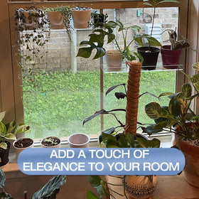 SkeWo space-saving design doubles growing area for herbs and microgreens.
