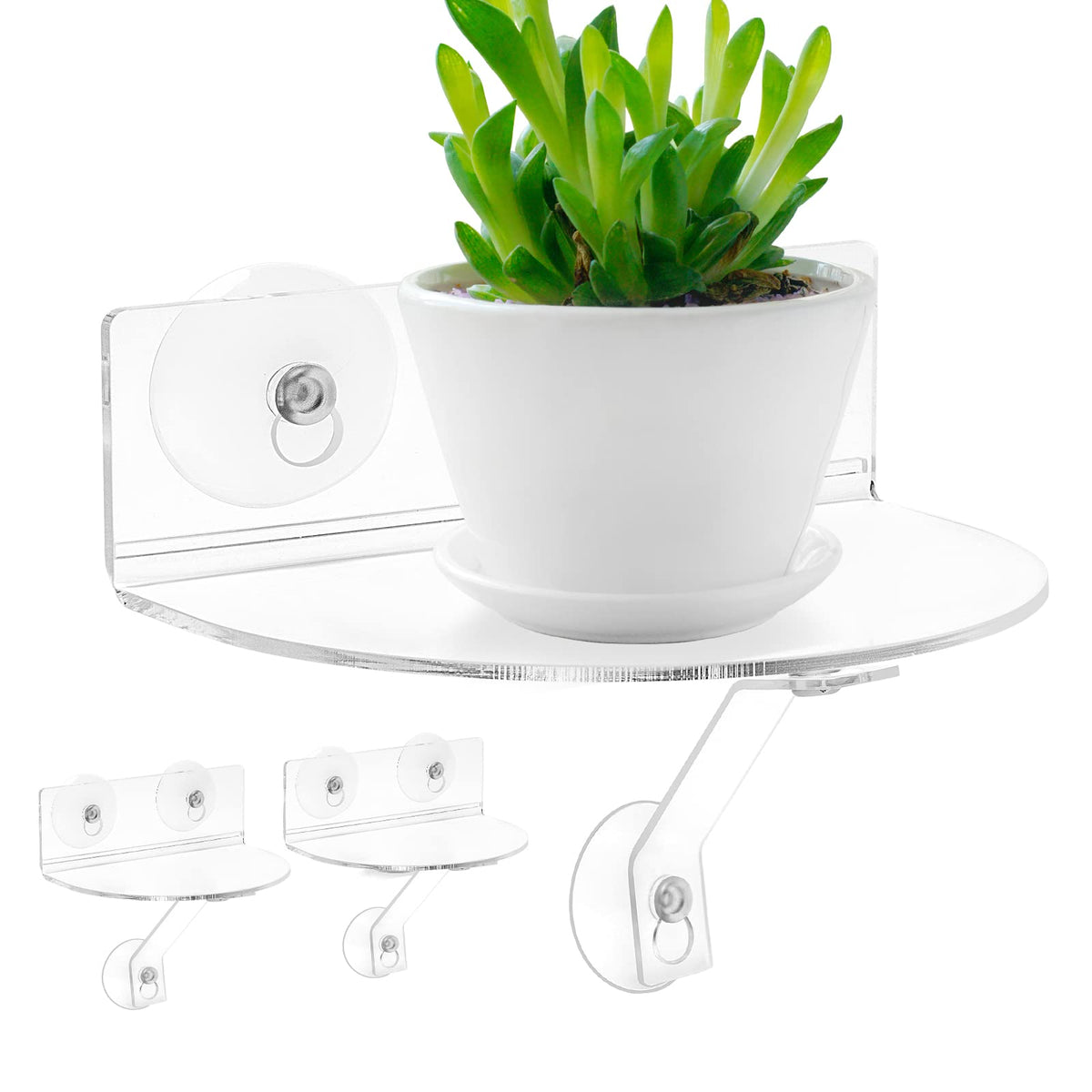 SKEWO window shelf with suction cups for secure herb display on glass