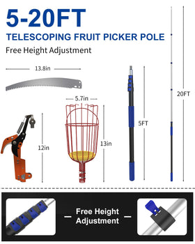 SKGPOLE foam pad protects fruit during picking for quality fruit