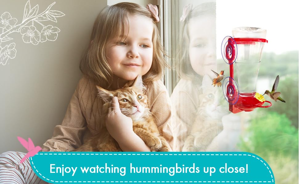 Skweeky Hitch window-view feeder ideal for backyard birdwatching.