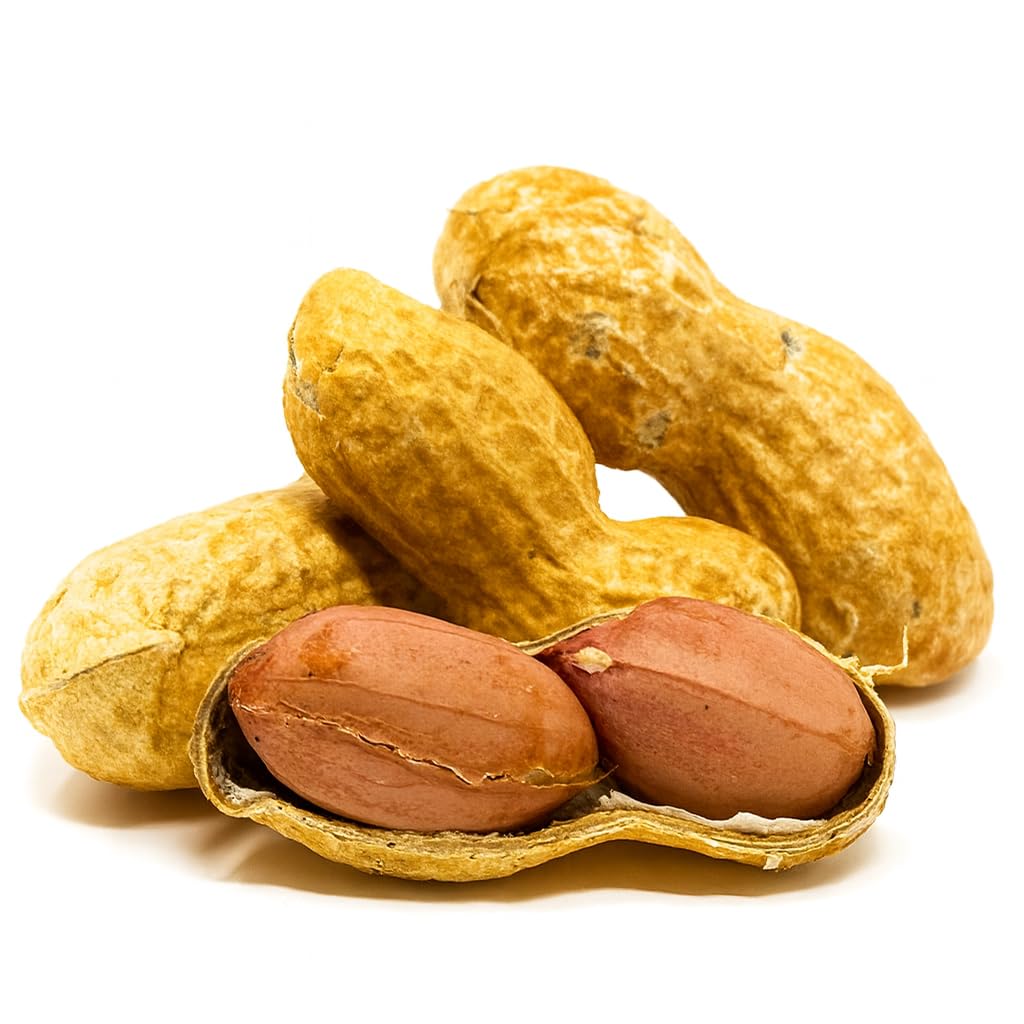 Sky Ecommerce 2.5lb jumbo unsalted peanuts in shell packaging for feeders.