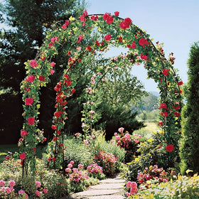 Skypatio backyard flower arch acts as a versatile seasonal focal point