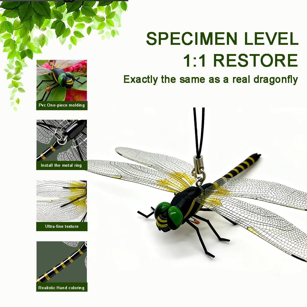 SKYPURE 4-pack dragonflies arranged in a garden display for pest deterrence.