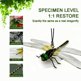 SKYPURE 4-pack dragonflies arranged in a garden display for pest deterrence.