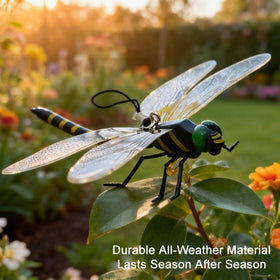 Detailed dragonfly wings and body texture embody natural realism.