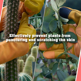 SLARMOR leather garden gloves offer puncture resistance and dexterity for precise planting and tool handling.