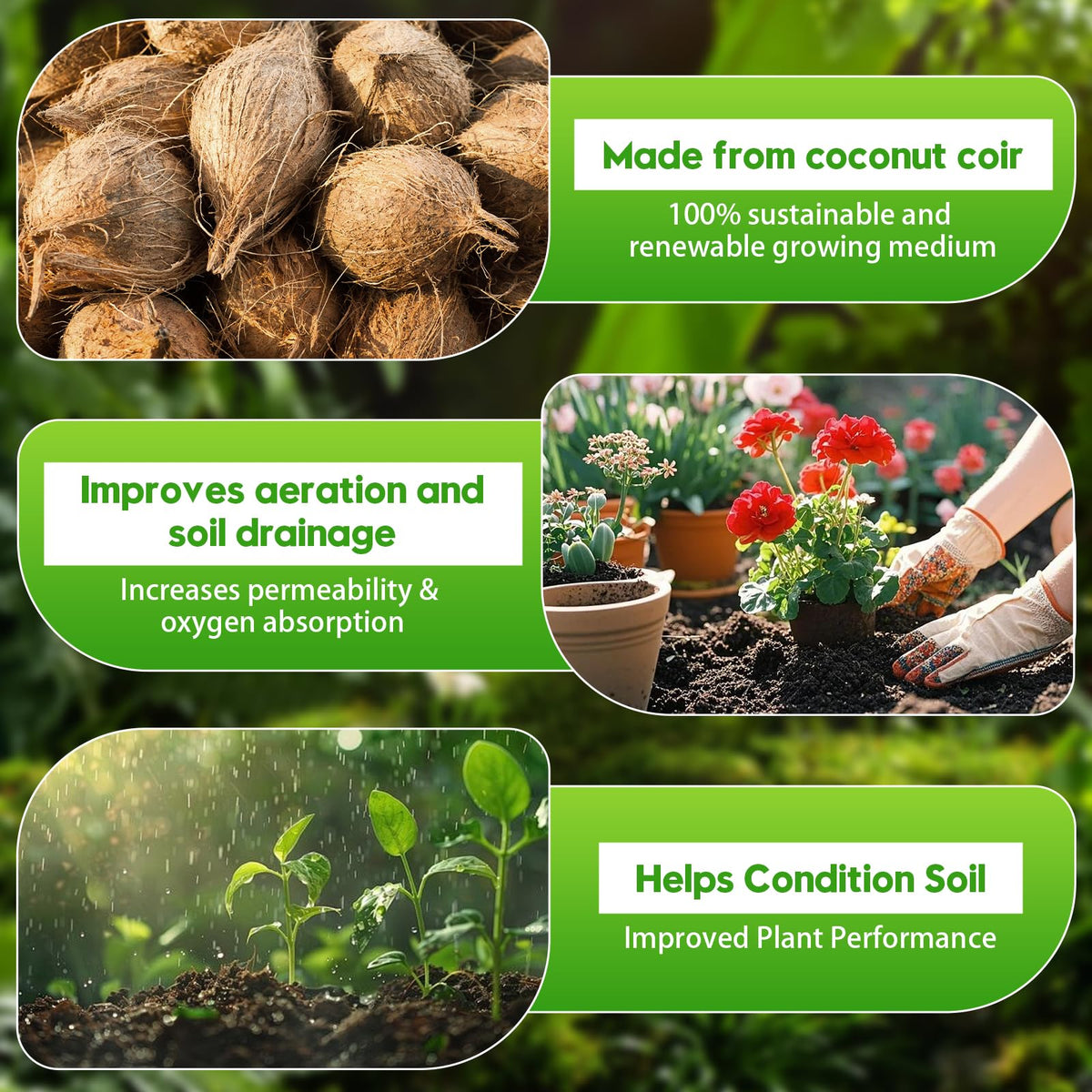 SDLDEER coco coir supports delicate seedlings
