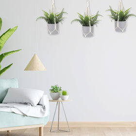 Sliverdew gift-ready plant hanger pack for plant lovers