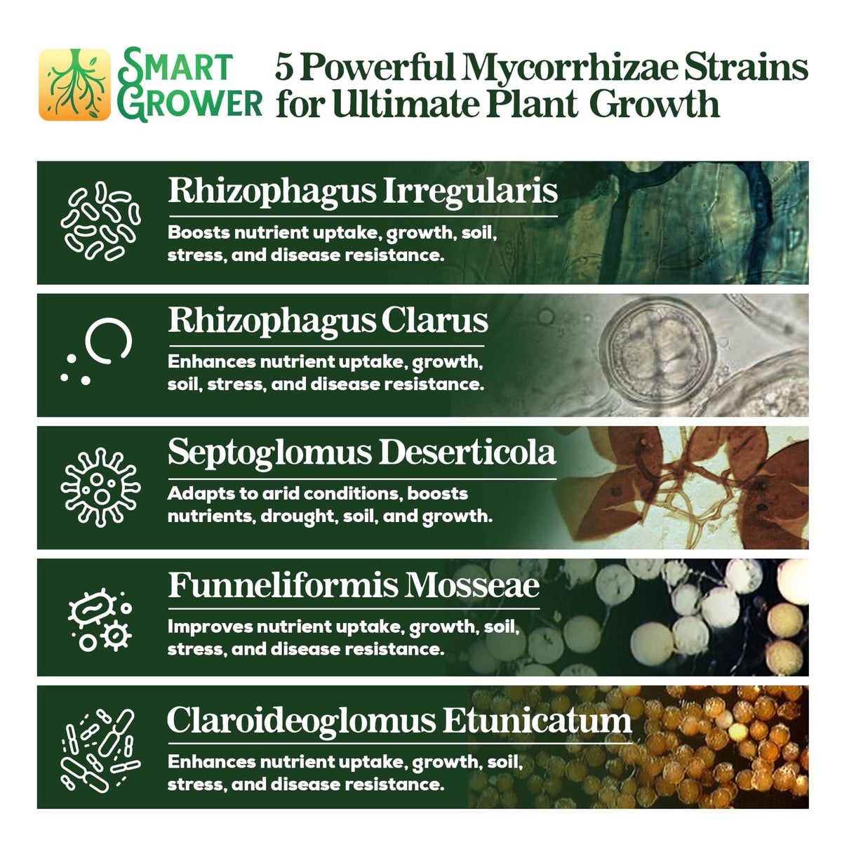 Smart Grower 100 spores per gram close-up shows potency.