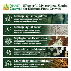 Smart Grower 100 spores per gram close-up shows potency.