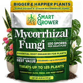 Smart Grower 5-strain blend spore bag boosts root health.