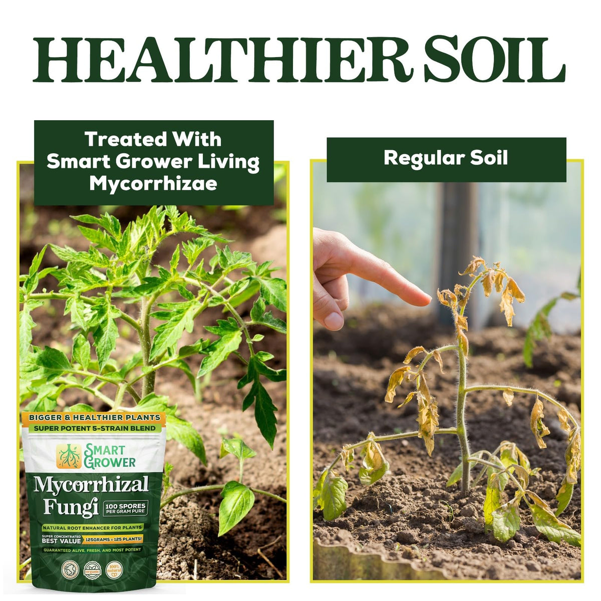 Smart Grower garden and houseplants use-case for thriving growth.