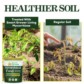 Smart Grower garden and houseplants use-case for thriving growth.