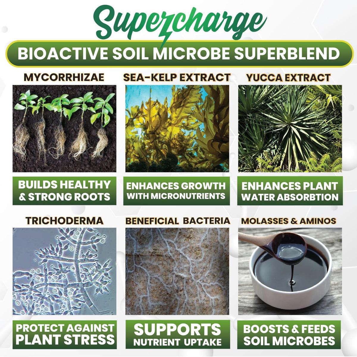 Smart Grower mycorrhizal fungi bacteria mix supporting robust roots