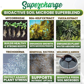 Smart Grower mycorrhizal fungi bacteria mix supporting robust roots