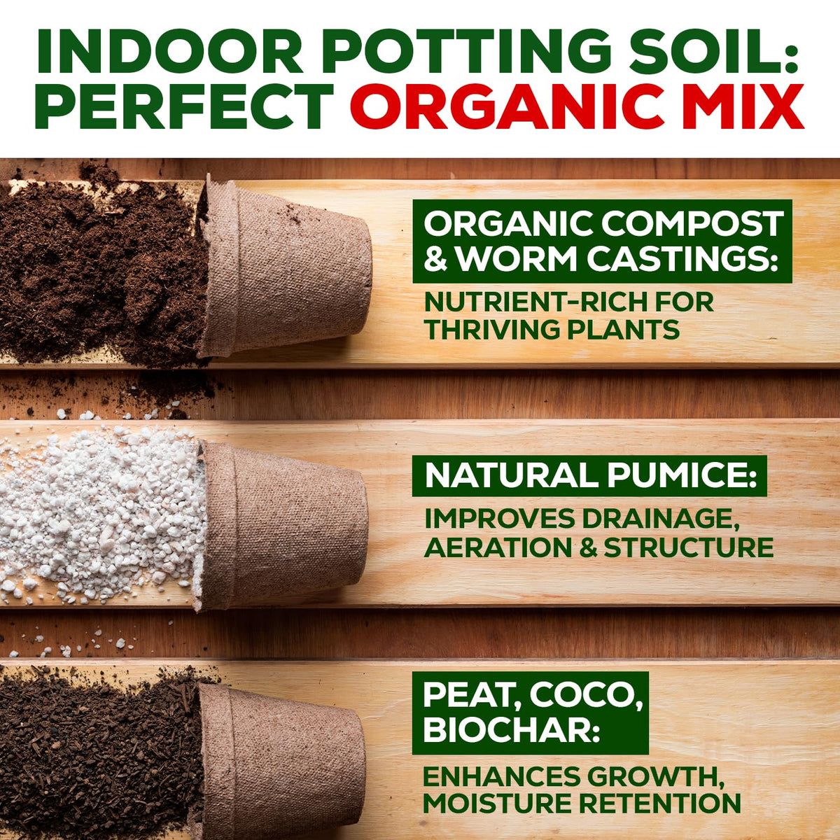 Fiddle-leaf fig in rich Smart Grower soil with healthy roots