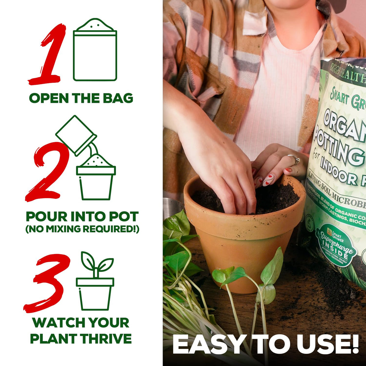 Money tree planted in Smart Grower soil showing even moisture