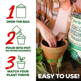 Money tree planted in Smart Grower soil showing even moisture