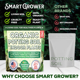 Pothos vines thrive in Smart Grower soil for moisture balance