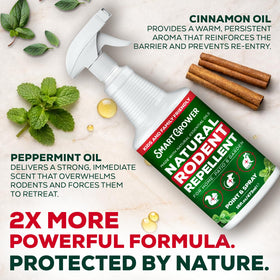 Smart Grower Peppermint Oil Spray used outdoors around sheds and gardens.