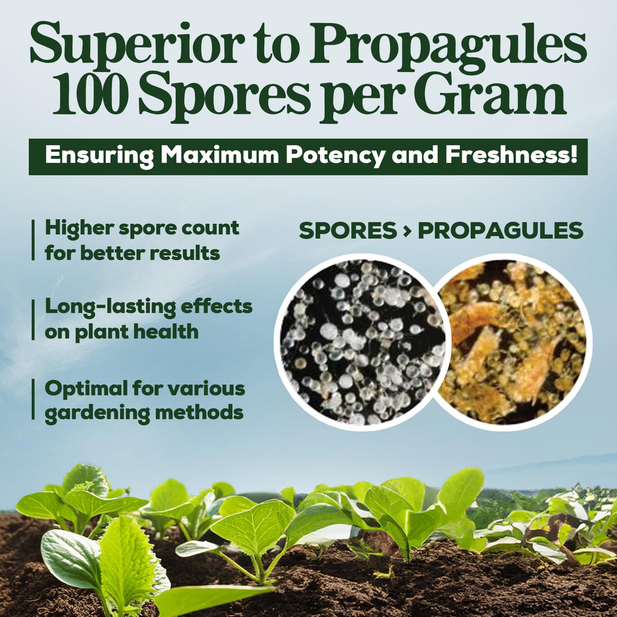 Smart Grower root-drench setup for quick uptake.