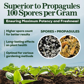 Smart Grower root-drench setup for quick uptake.