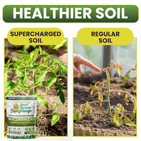 Smart Grower sea kelp bio stimulant promoting plant vitality