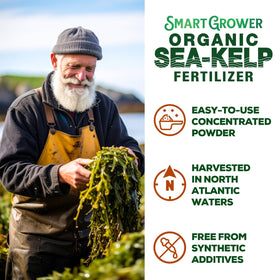 Smart Grower Sea-Kelp houseplants care for vibrant foliage and strong roots