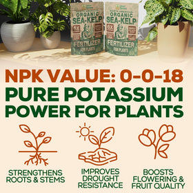 Smart Grower Sea-Kelp vegetable-garden application promotes lush greens