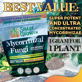 Smart Grower soil vitality supporting healthy roots and growth.