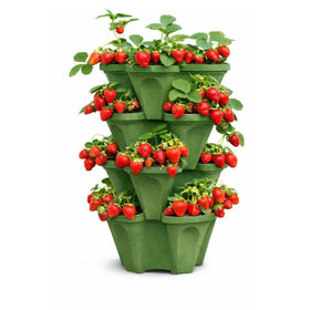 Smart Spring Strawberry Planter Tower 4-tier design for compact strawberry growth.