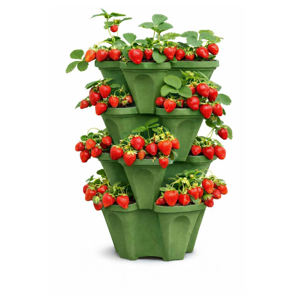 Smart Spring Strawberry Planter Tower 4-tier design for compact strawberry growth.