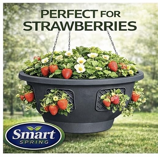 Smart Spring Ultimate Hanging Basket floral display on a porch with cascading blooms