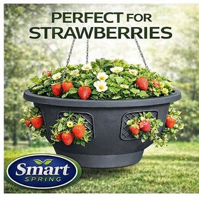 Smart Spring Ultimate Hanging Basket floral display on a porch with cascading blooms