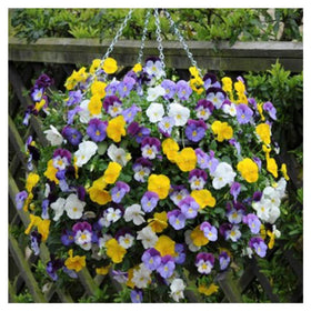 Smart Spring Ultimate Hanging Basket side ports illustrating six times more planting