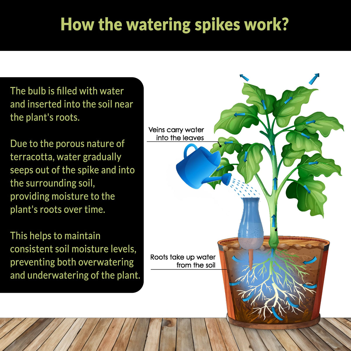 SmartiLiving low-profile bulb buried in soil provides discreet watering