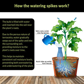SmartiLiving low-profile bulb buried in soil provides discreet watering