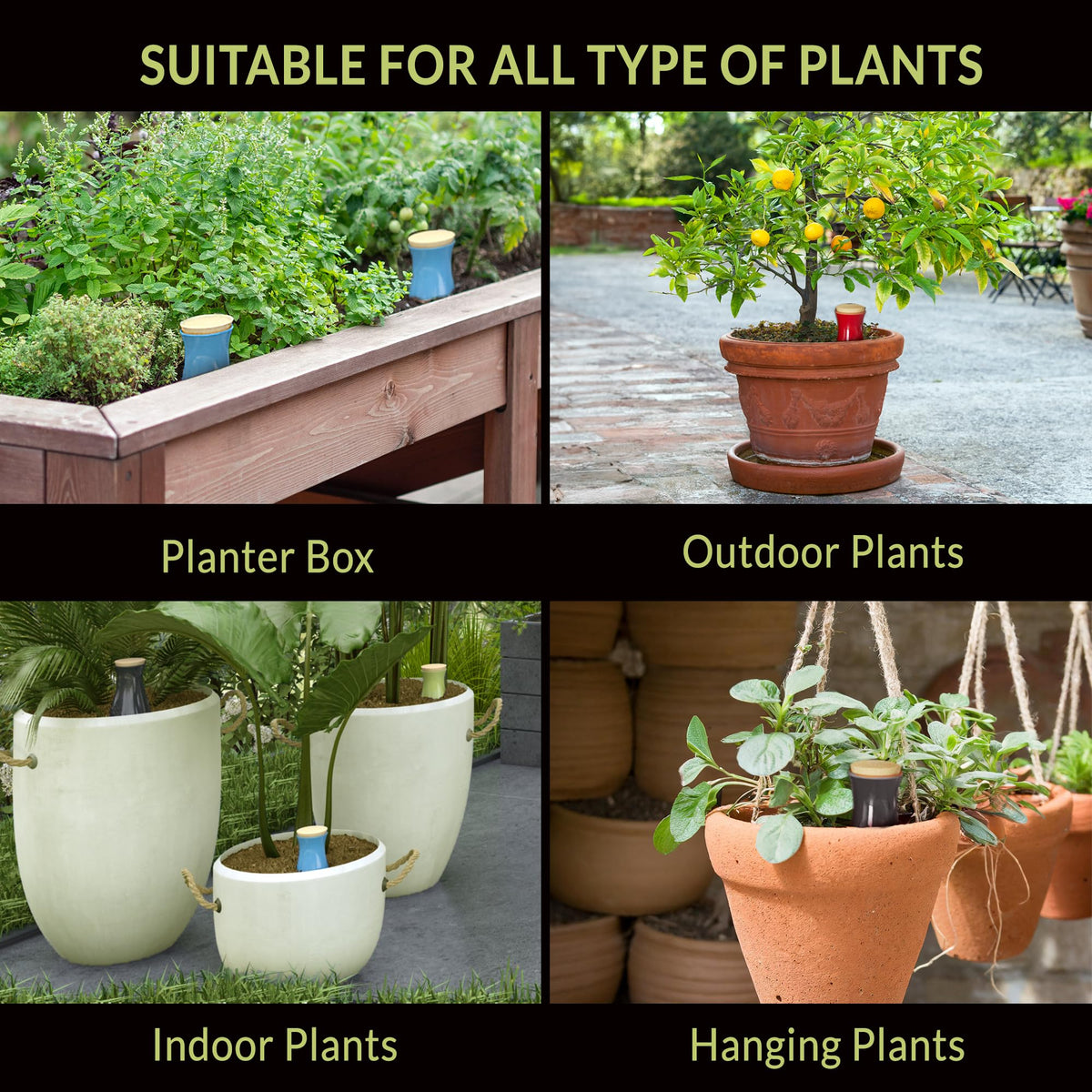 Suitable for indoor and outdoor plants, vacation-ready self-watering solution.