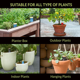 Suitable for indoor and outdoor plants, vacation-ready self-watering solution.