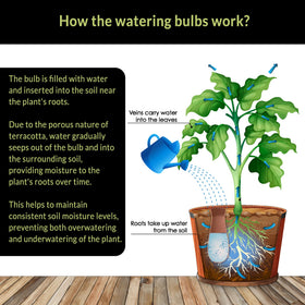 Versatile use for pots, baskets, and gardens.