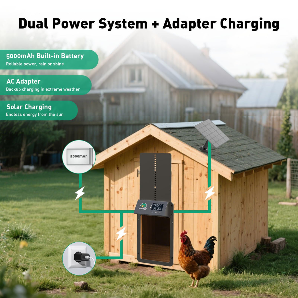 Smile Forest door with four modes supports light-sensor, timer, hybrid, and manual operation.
