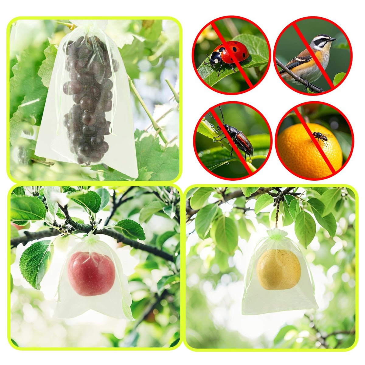 SmileLucky 50-pack packaging highlights quantity and value for gardening.