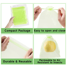 SmileLucky bags protect berries and citrus on branches for healthy ripening.