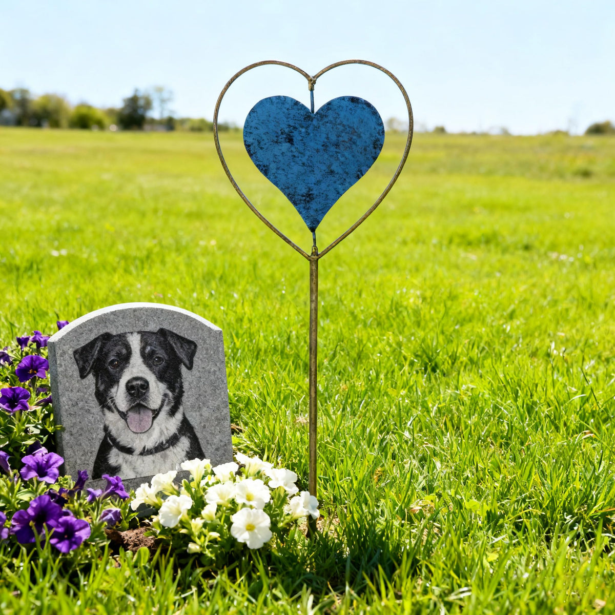 SMQLJXC pet memorial garden stake honors a beloved companion outdoors.