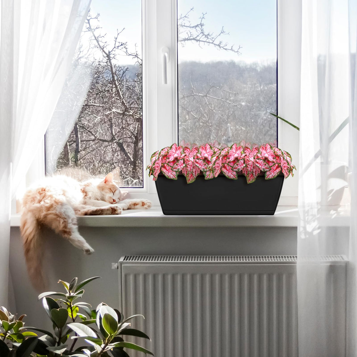 Smusei easy-care planter design simplifies balcony gardening and maintenance.
